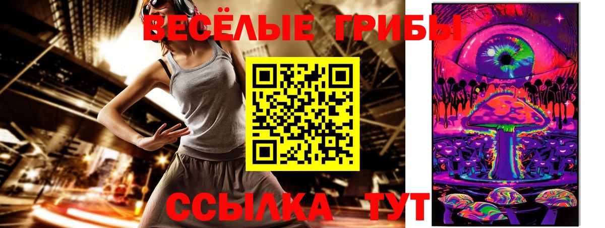 Галлюциногенные грибы Psilocybe Кимры